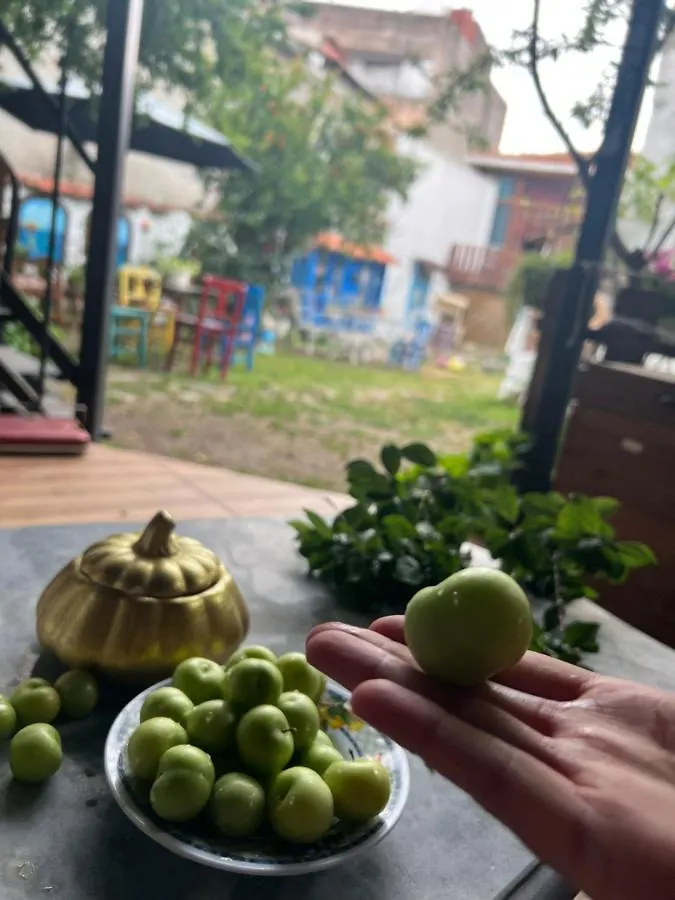 Pergamon Pension Bergama